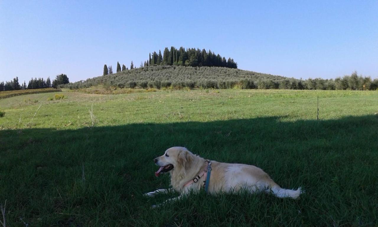 Dolce Cuore Luxe Apartment Chianti Florence Male Romantyczne Mieszkanie San Donato in Poggio 外观 照片